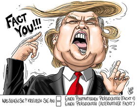 Trump, Präsident, USA, alternative Facts, Donald Trump, Great again, Fakenews