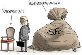 Nationalrat, Regierungsrat