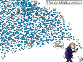 Trump, Vogel, Voegel, Aussterbende Tierarten, Twitter, USA, Nordamerika