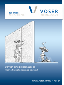 Voser, Anwalt, Baden, Gesetz, Recht, Rechtsverteidigung