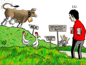 Agri Tourismus